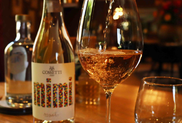 Wijnproeverij | Mini-cursus 🍷
